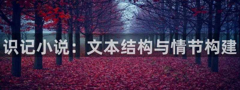 综合五月小说